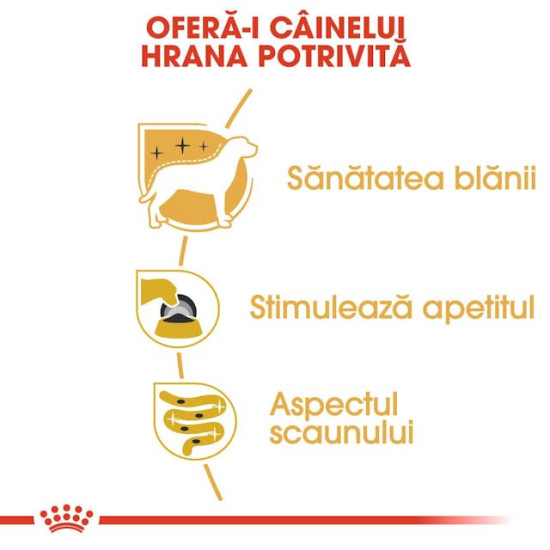 Royal Canin Yorkshire Terrier Adult – Hrană Umedă Pate pentru Câini Adulți din Rasa Yorkshire Terrier – 85 g